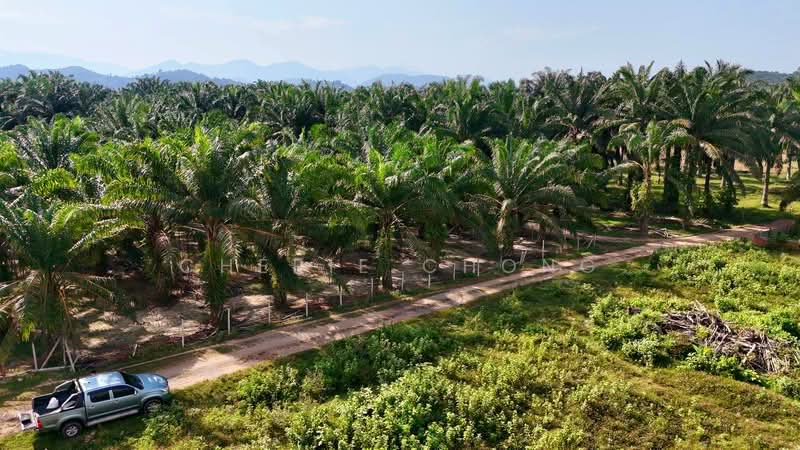 Agricultural Land for Sale in Jalong Tinggi (Ipoh) - Cherie Chong - PropertyGuru.com.my