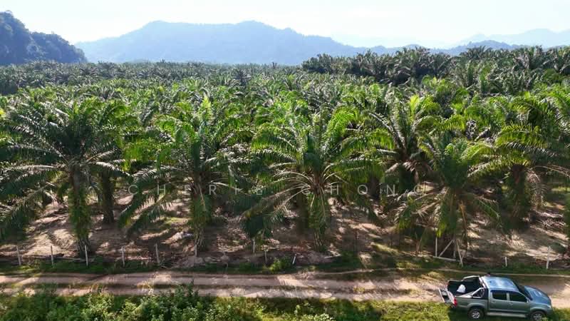 Agricultural Land for Sale in Jalong Tinggi (Ipoh) - Cherie Chong - PropertyGuru.com.my