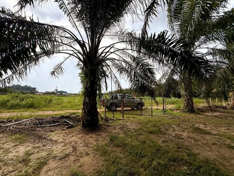 Agricultural Land for Sale in Jalong Tinggi (Ipoh) - Cherie Chong - PropertyGuru.com.my