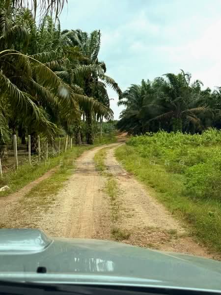 Agricultural Land for Sale in Jalong Tinggi (Ipoh) - Cherie Chong - PropertyGuru.com.my