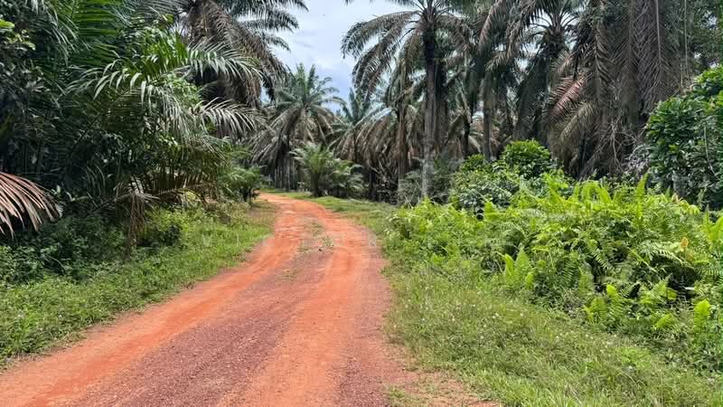 Agricultural Land for Sale in Kluang (Johor) - Victor Lim - Exterior - PropertyGuru.com.my
