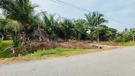 Tanah Pertanian untuk Dijual di Pontian (Johor) - Saedah Napisah - PropertyGuru.com.my
