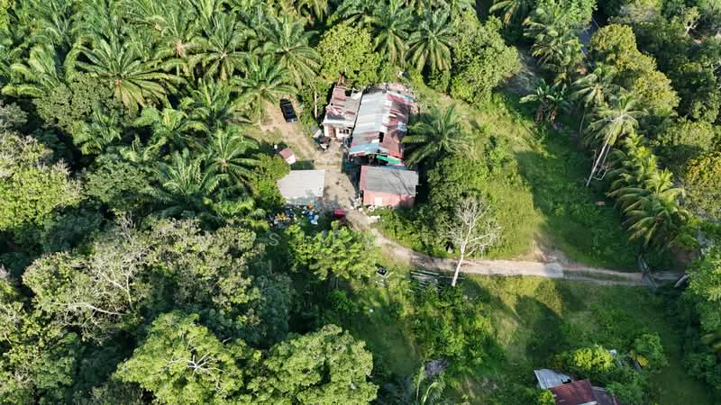 Tanah Pertanian untuk Dijual di Jasin (Melaka) - Wesley Tan - Exterior - PropertyGuru.com.my