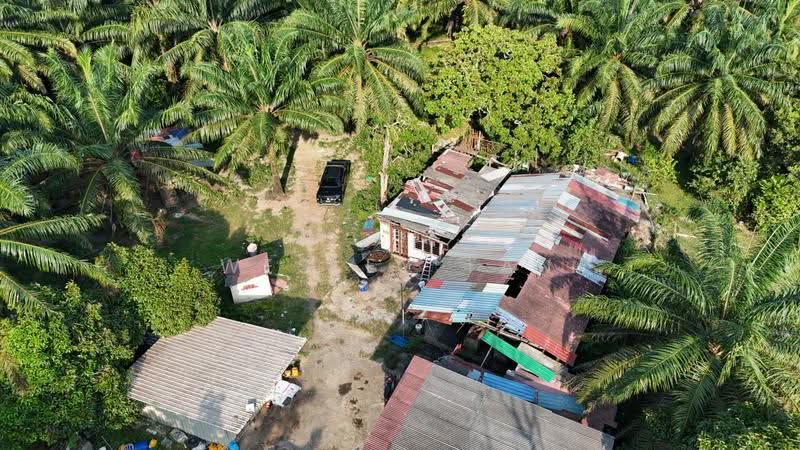 Tanah Pertanian untuk Dijual di Jasin (Melaka) - Wesley Tan - Exterior - PropertyGuru.com.my