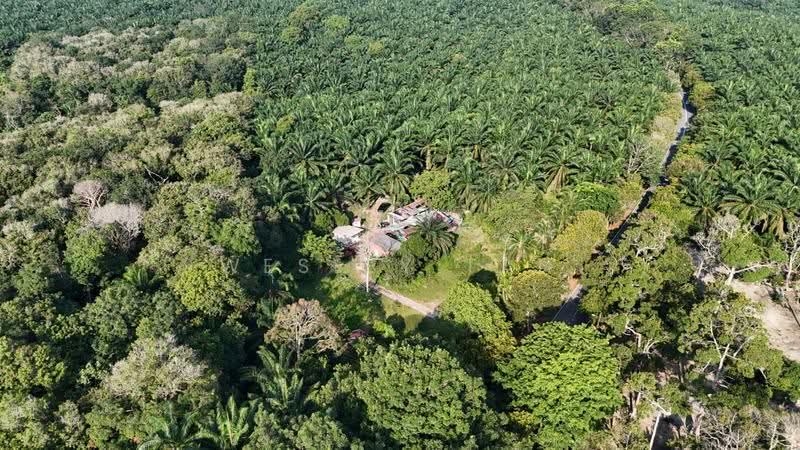 Tanah Pertanian untuk Dijual di Jasin (Melaka) - Wesley Tan - Exterior - PropertyGuru.com.my