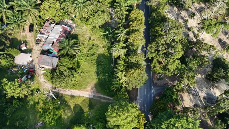 Tanah Pertanian untuk Dijual di Jasin (Melaka) - Wesley Tan - Exterior - PropertyGuru.com.my