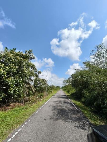 Tanah Pertanian untuk Dijual di Pontian (Johor) - Amber Hew - PropertyGuru.com.my