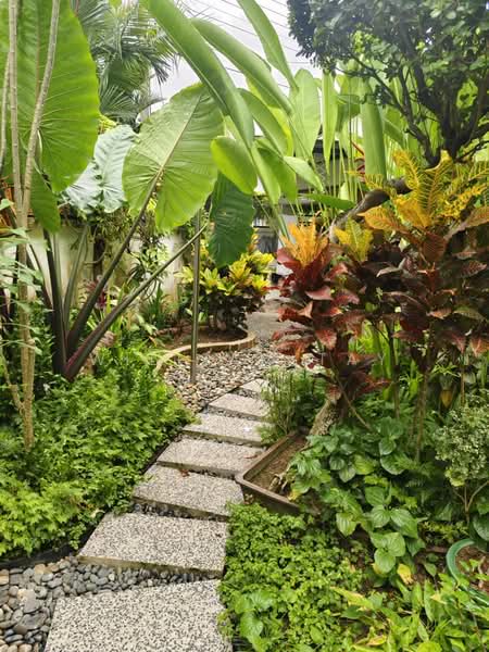 Rumah Teres 2-Tingkat untuk Dijual di Taman Pelangi (Johor Bahru) - William Tay - Garden - PropertyGuru.com.my