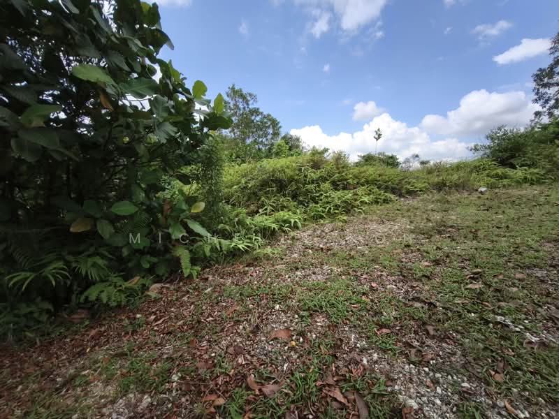 Tanah Kediaman untuk Dijual di Ledang Heights (Iskandar Puteri (Nusajaya)) - Michelle Koh - PropertyGuru.com.my