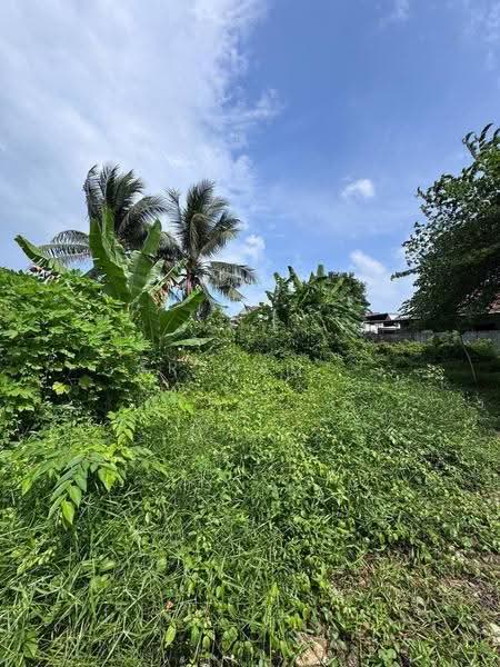 Others for Sale in Taman Sri Aman (Pontian) - Arshad . - Garden - PropertyGuru.com.my