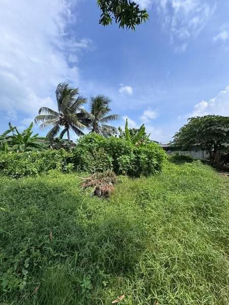 Others for Sale in Taman Sri Aman (Pontian) - Arshad . - Exterior - PropertyGuru.com.my
