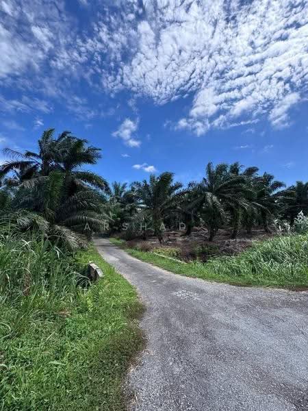 Tanah Pertanian untuk Dijual di Pontian (Johor) - Arshad . - Exterior - PropertyGuru.com.my