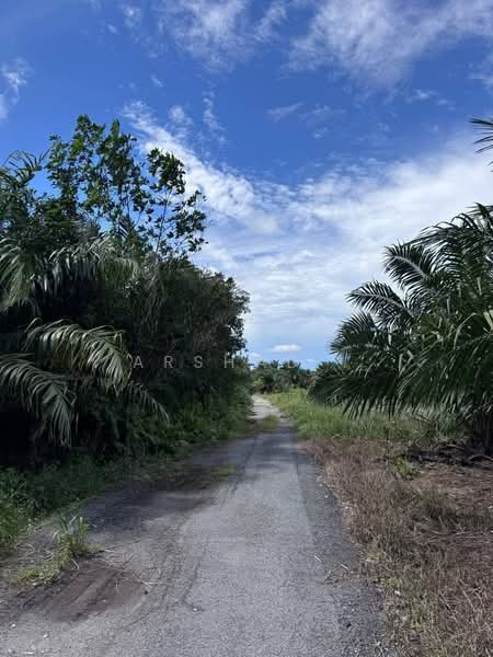 Tanah Pertanian untuk Dijual di Pontian (Johor) - Arshad . - Exterior - PropertyGuru.com.my