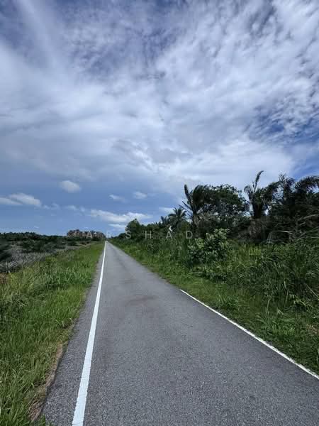 Tanah Pertanian untuk Dijual di Pontian (Johor) - Arshad . - Exterior - PropertyGuru.com.my