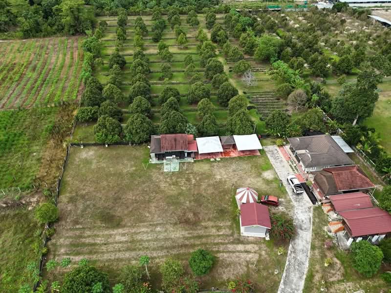 Agricultural Land for Sale in Kuala Kangsar (Perak) - Ivan Tai - PropertyGuru.com.my