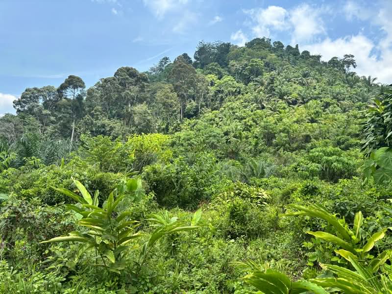 Tanah Pertanian untuk Dijual di Damak (Pahang) - Aiman Bin Hasnan - Exterior - PropertyGuru.com.my