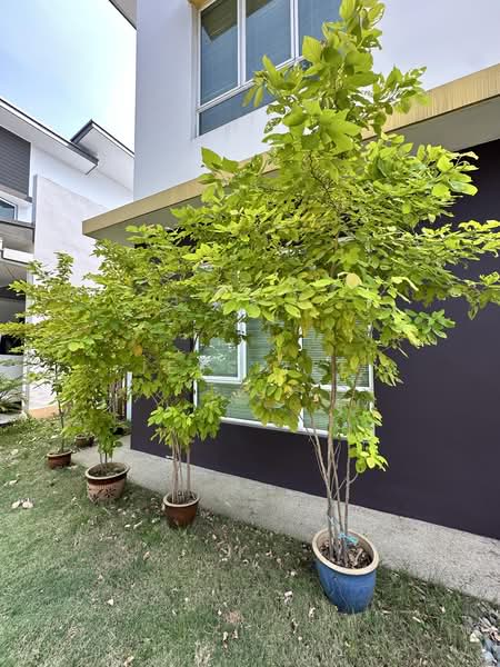 Bungalow House untuk Dijual di Setia Eco Park (Setia Alam) - Jess Tee - Exterior - PropertyGuru.com.my
