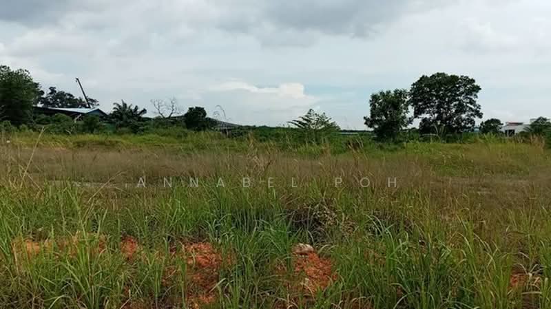 Tanah Perindustrian untuk Dijual di Kampung Seelong Jaya (Senai) - Annabel Poh - Exterior - PropertyGuru.com.my