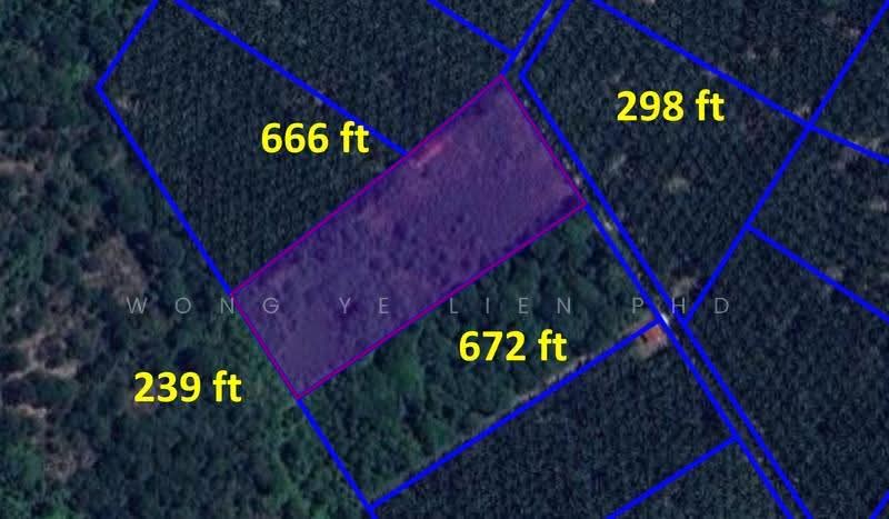 Tanah Pertanian untuk Dijual di Bidor (Perak) - Wong Ye Lien PhD - PropertyGuru.com.my