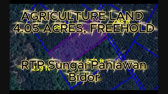 Tanah Pertanian untuk Dijual di Bidor (Perak) - Wong Ye Lien PhD - PropertyGuru.com.my
