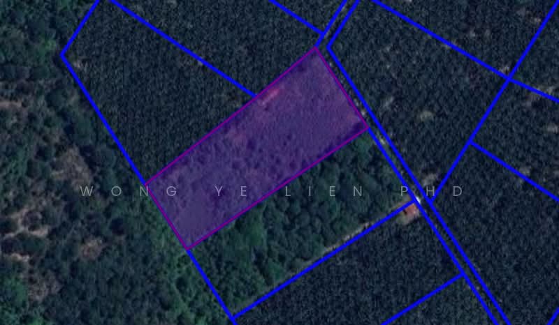 Tanah Pertanian untuk Dijual di Bidor (Perak) - Wong Ye Lien PhD - PropertyGuru.com.my
