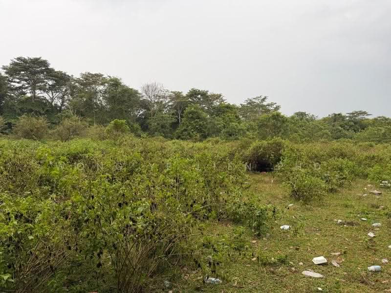 Tanah Pertanian untuk Dijual di Bidor (Perak) - Wong Ye Lien PhD - Exterior - PropertyGuru.com.my