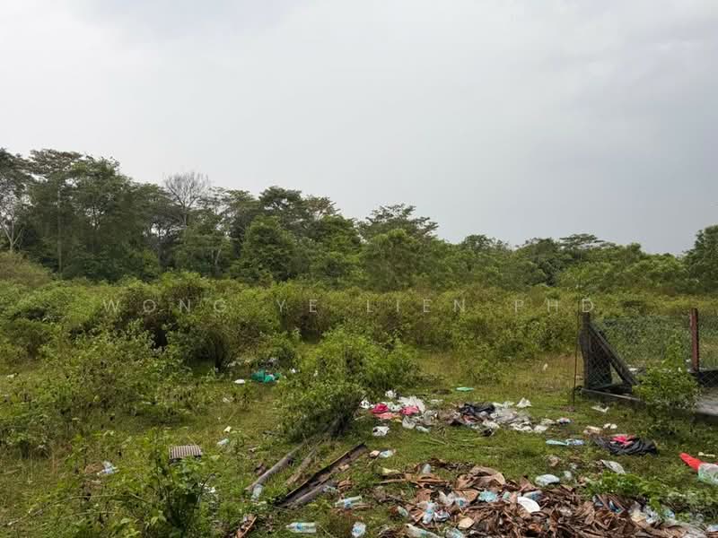 Tanah Pertanian untuk Dijual di Bidor (Perak) - Wong Ye Lien PhD - Exterior - PropertyGuru.com.my