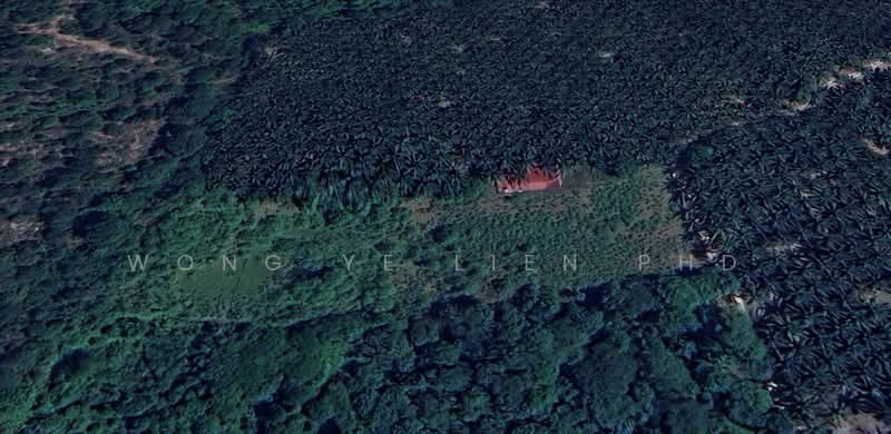 Tanah Pertanian untuk Dijual di Bidor (Perak) - Wong Ye Lien PhD - PropertyGuru.com.my