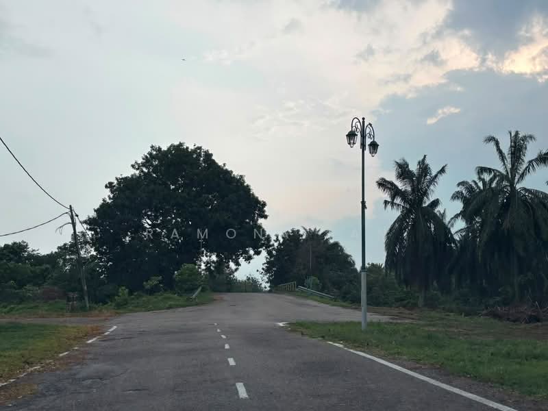 Agricultural Land for Sale in Kuala Linggi (Melaka) - Ramona Tan - PropertyGuru.com.my