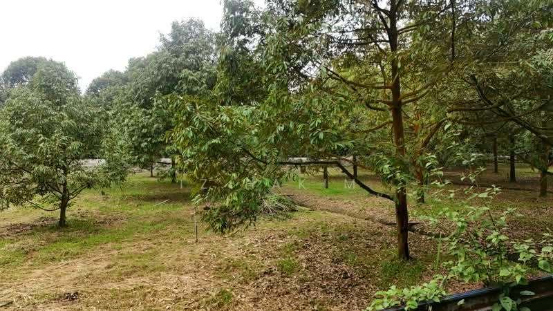 Tanah Pertanian untuk Dijual di Ulu Yam (Selangor) - Iz Hakim - Garden - PropertyGuru.com.my