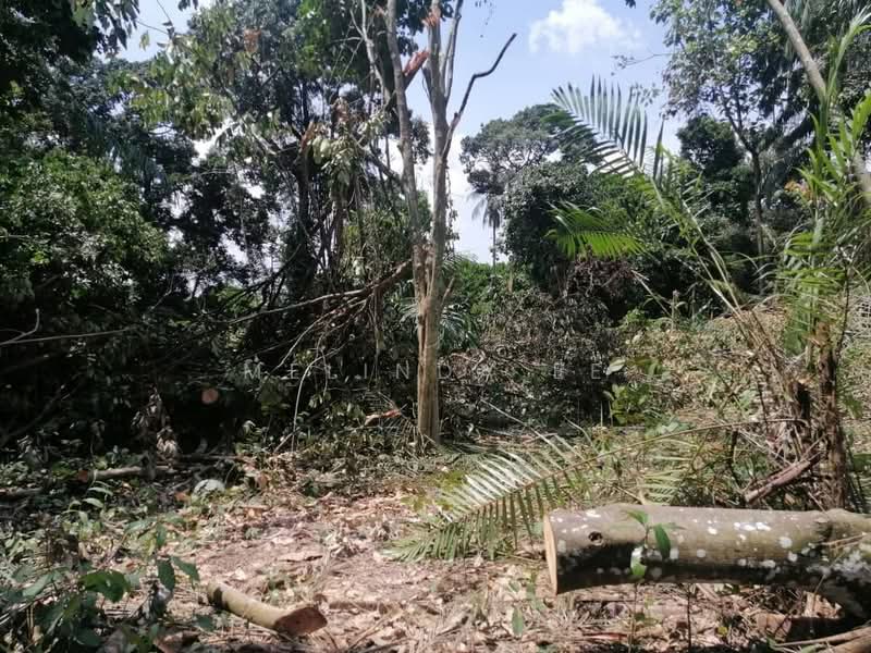 Commercial Land for Rent in Kampung Pekajang (Gelang Patah) - Melinda Ee - Exterior - PropertyGuru.com.my