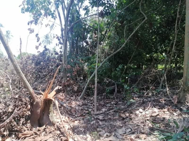 Commercial Land for Rent in Kampung Pekajang (Gelang Patah) - Melinda Ee - Exterior - PropertyGuru.com.my