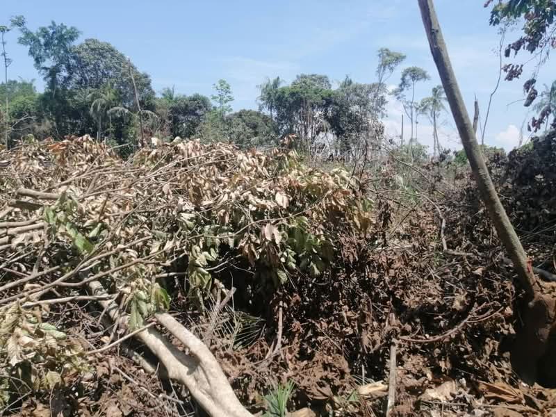 Commercial Land for Rent in Kampung Pekajang (Gelang Patah) - Melinda Ee - Exterior - PropertyGuru.com.my