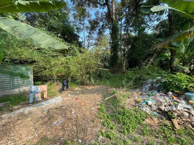 Commercial Land for Rent in Kampung Pekajang (Gelang Patah) - Melinda Ee - Exterior - PropertyGuru.com.my