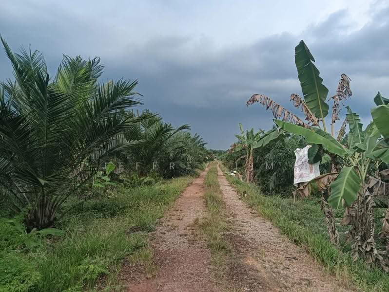 Tanah Pertanian untuk Dijual di Pontian (Johor) - Jeffrey Lim - Exterior - PropertyGuru.com.my