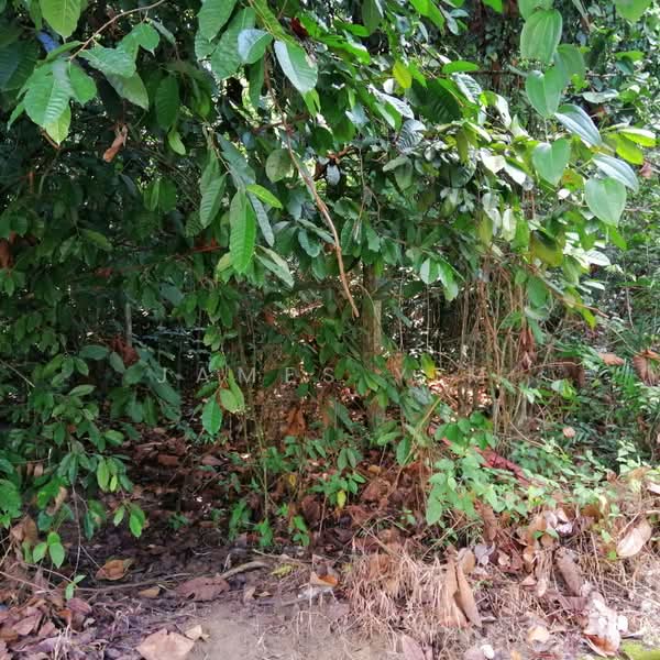 Residential Land for Sale in Saujana Utama (Selangor) - James Yim - Site 5 - PropertyGuru.com.my