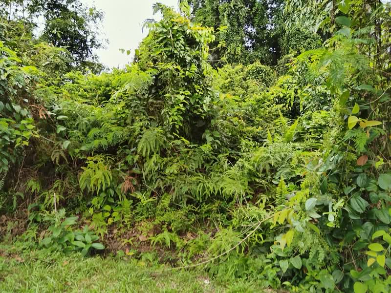 Residential Land for Sale in Saujana Utama (Selangor) - James Yim - site 6 - PropertyGuru.com.my