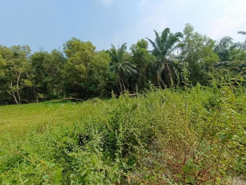 Lain-lain untuk Dijual di Manjung (Perak) - Razlan Hamzah - Garden - PropertyGuru.com.my