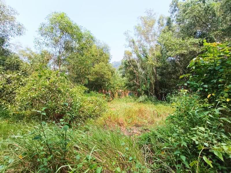 Lain-lain untuk Dijual di Manjung (Perak) - Razlan Hamzah - Garden - PropertyGuru.com.my
