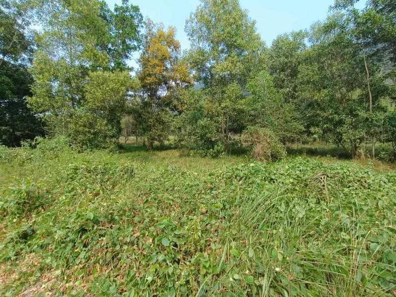 Lain-lain untuk Dijual di Manjung (Perak) - Razlan Hamzah - Garden - PropertyGuru.com.my
