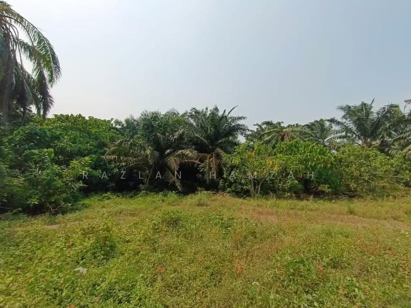 Lain-lain untuk Dijual di Manjung (Perak) - Razlan Hamzah - Garden - PropertyGuru.com.my
