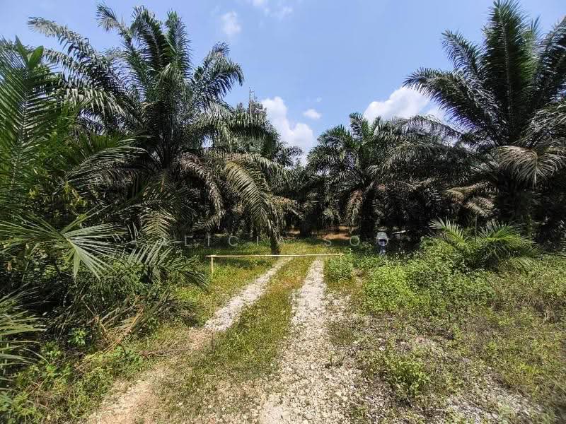 Agricultural Land for Sale in Kampung Sungai Pusu (Gombak) - Alicia Soo - Exterior - PropertyGuru.com.my
