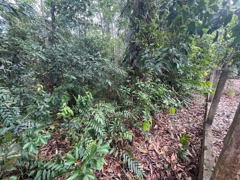 Tanah Kediaman untuk Dijual di Kemaman (Terengganu) - Muhammad Najmi - Exterior - PropertyGuru.com.my