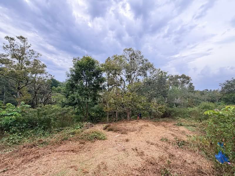 Agricultural Land for Sale in Kemaman (Terengganu) - Muhammad Najmi - Exterior - PropertyGuru.com.my