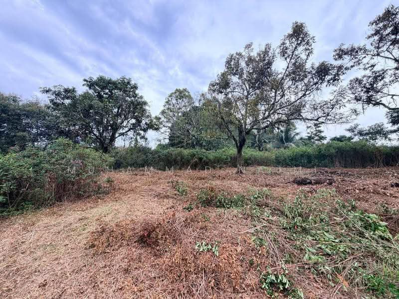 Agricultural Land for Sale in Kemaman (Terengganu) - Muhammad Najmi - Exterior - PropertyGuru.com.my