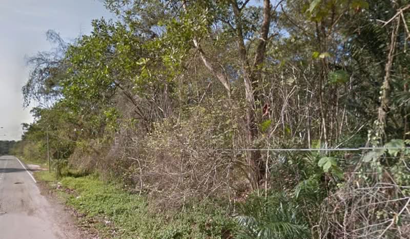 Tanah Pertanian untuk Dijual di Senai (Johor) - Lesley Siang - Exterior - PropertyGuru.com.my