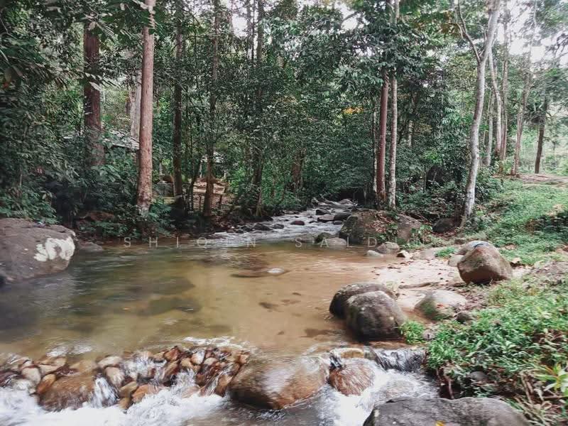 Agricultural Land for Sale in Ulu Yam (Selangor) - Shiqin Saidin - PropertyGuru.com.my