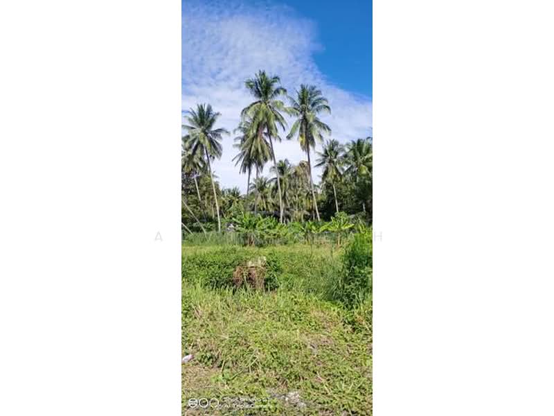 Tanah Perindustrian untuk Dijual di Teluk Gong (Port Klang (Pelabuhan Klang)) - Alvin Seah - Garden - PropertyGuru.com.my