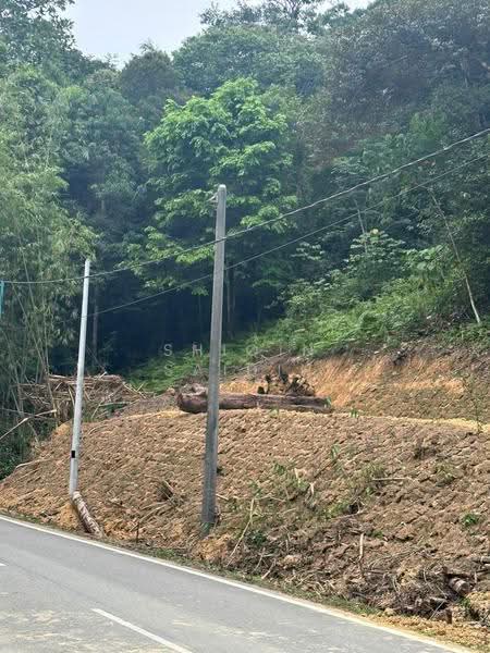 Tanah Pertanian untuk Dijual di Janda Baik (Bentong) - Shiqin Saidin - Exterior - PropertyGuru.com.my