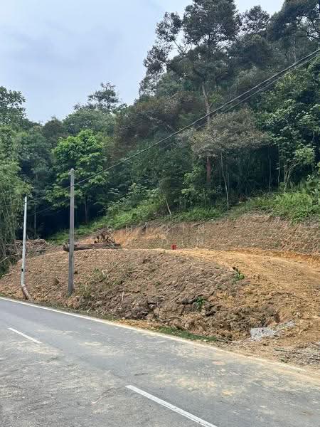 Tanah Pertanian untuk Dijual di Janda Baik (Bentong) - Shiqin Saidin - Exterior - PropertyGuru.com.my